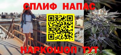 jwh Боровичи