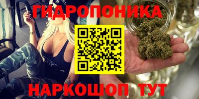jwh Боровичи