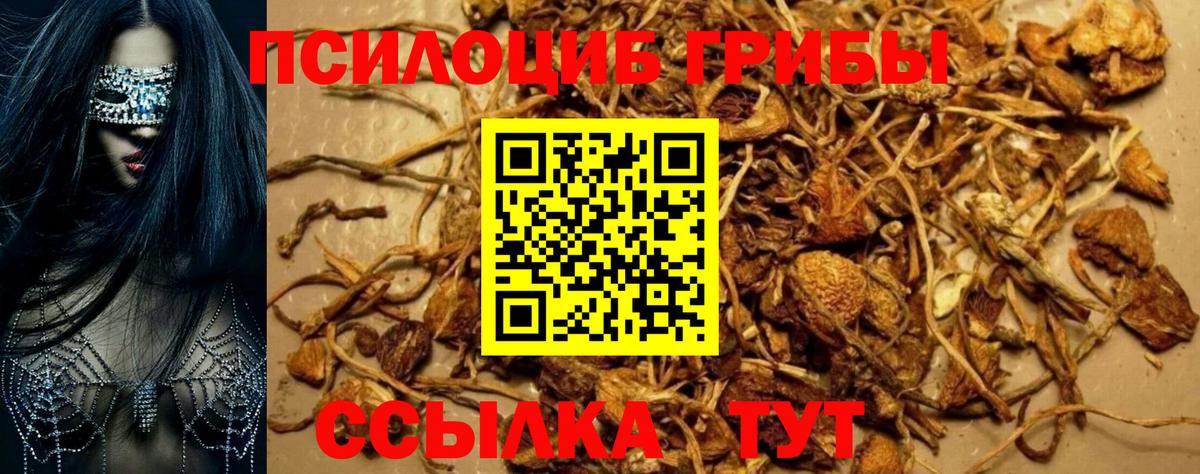 Псилоцибиновые грибы GOLDEN TEACHER  Вход с VPN  Великий Устюг  Галлюциногенные грибы GOLDEN TEACHER 