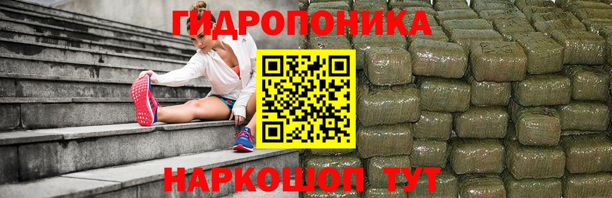 Бошки марихуана Amnesia Великий Устюг